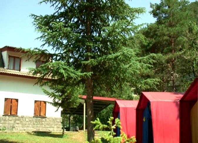 Готель El Chate Tiendas Сарвісе Номер фото